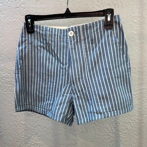 Blue Striped Shorts